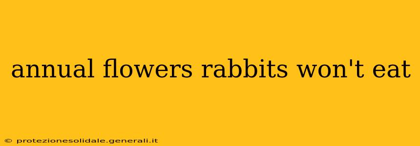 annual flowers rabbits won't eat