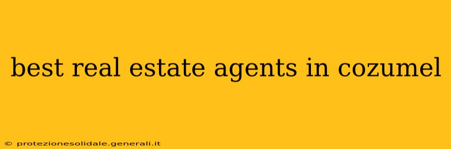 best real estate agents in cozumel
