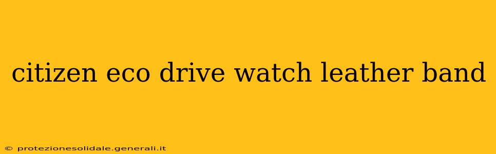 citizen eco drive watch leather band