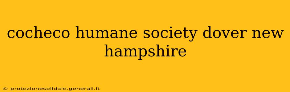 cocheco humane society dover new hampshire