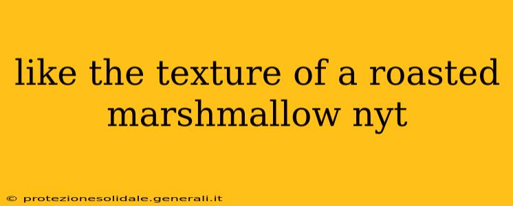 like the texture of a roasted marshmallow nyt