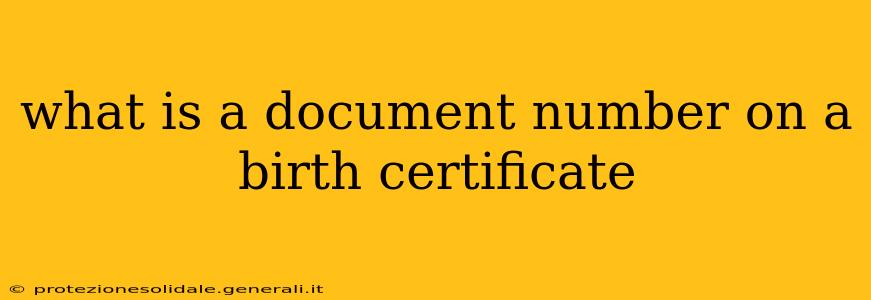 what is a document number on a birth certificate