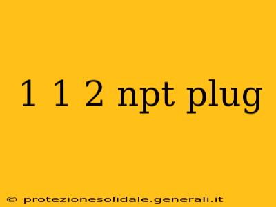 1 1 2 npt plug