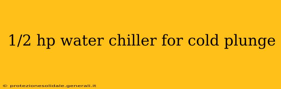 1/2 hp water chiller for cold plunge
