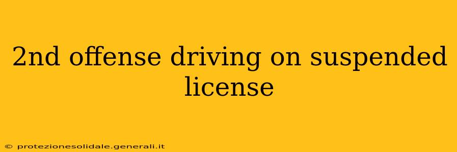 2nd offense driving on suspended license