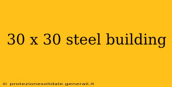 30 x 30 steel building