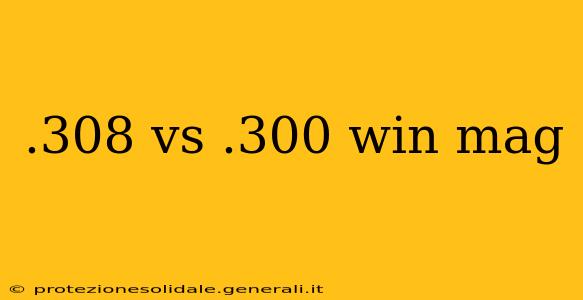 .308 vs .300 win mag