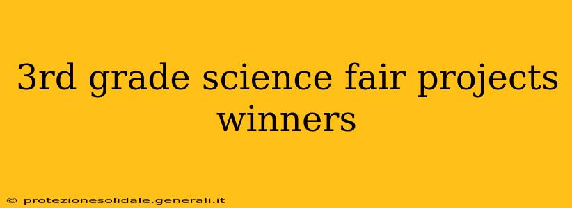 3rd grade science fair projects winners