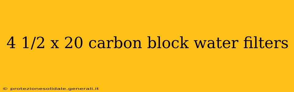 4 1/2 x 20 carbon block water filters
