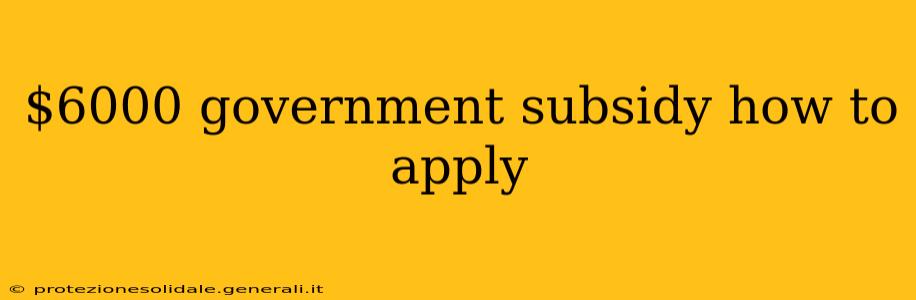 $6000 government subsidy how to apply