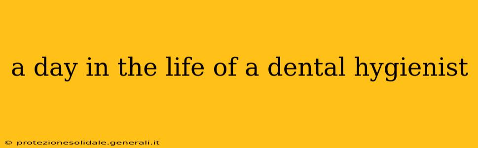 a day in the life of a dental hygienist