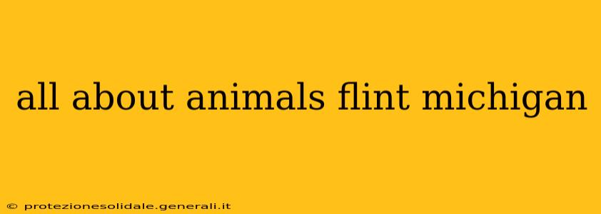 all about animals flint michigan