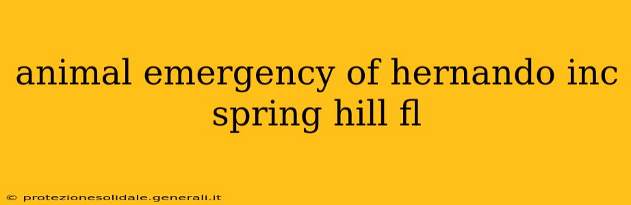 animal emergency of hernando inc spring hill fl