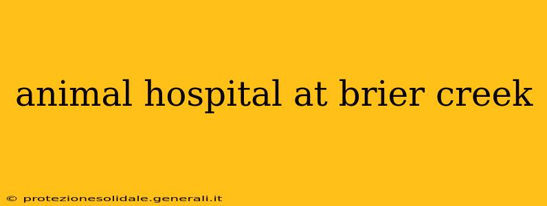 animal hospital at brier creek