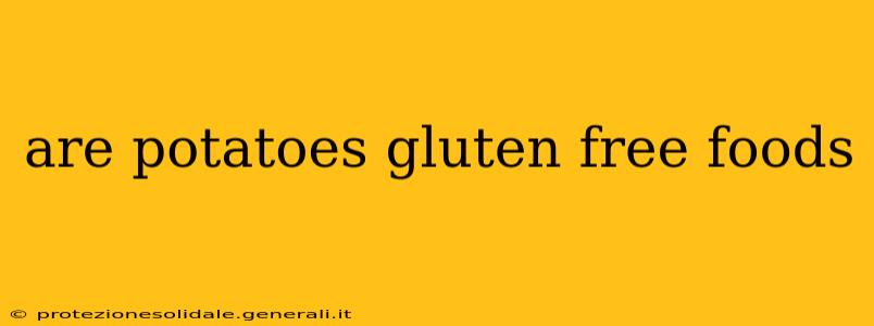 are potatoes gluten free foods