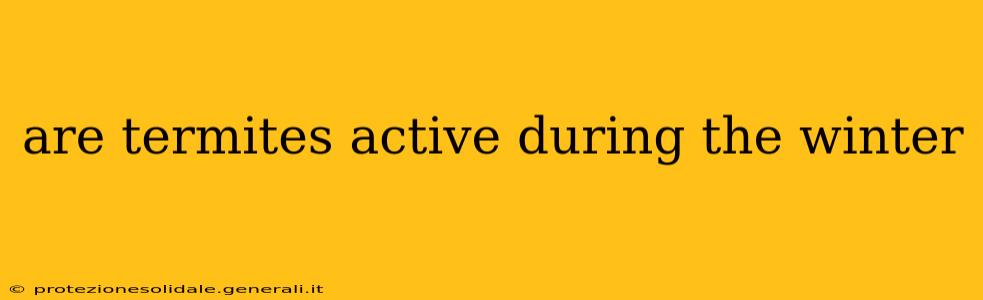 are termites active during the winter
