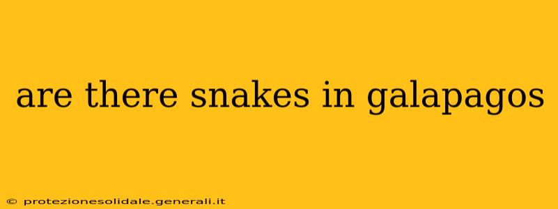 are there snakes in galapagos