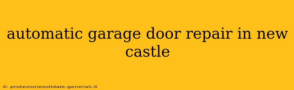 automatic garage door repair in new castle