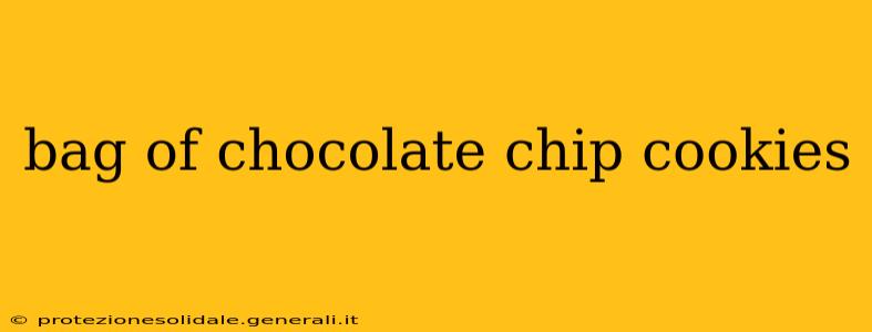 bag of chocolate chip cookies