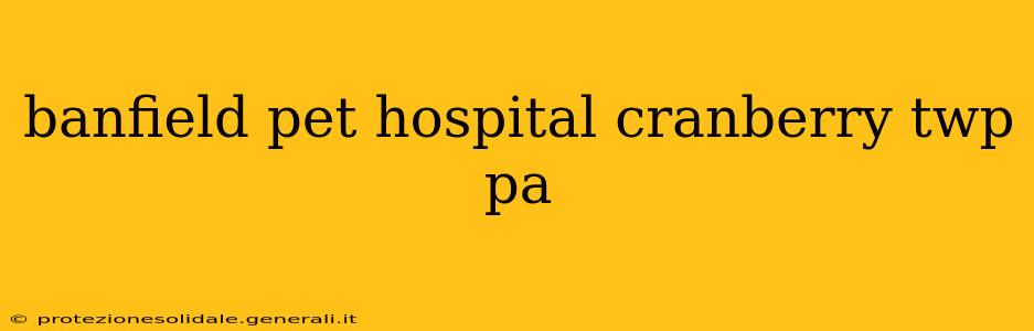 banfield pet hospital cranberry twp pa