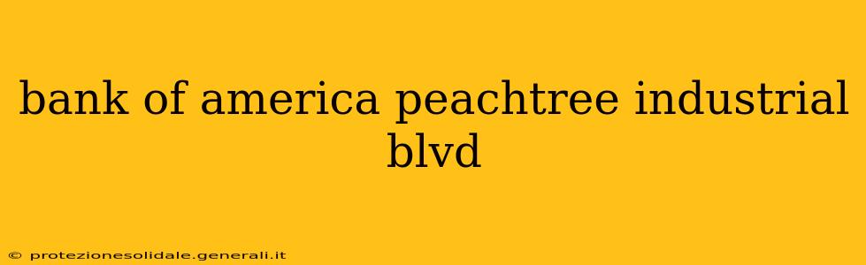 bank of america peachtree industrial blvd