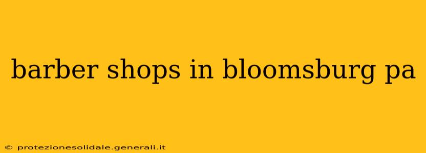 barber shops in bloomsburg pa