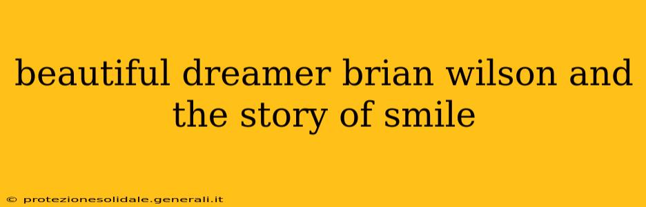 beautiful dreamer brian wilson and the story of smile