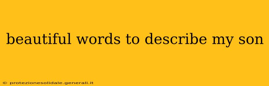 beautiful words to describe my son