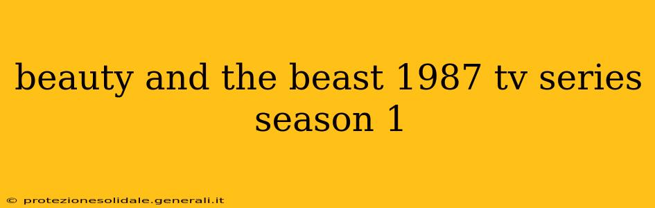 beauty and the beast 1987 tv series season 1