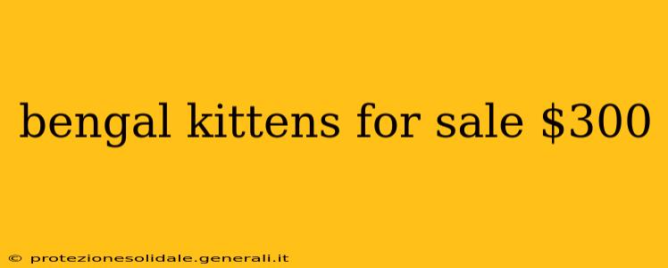 bengal kittens for sale $300