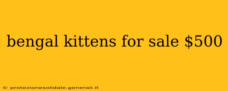 bengal kittens for sale $500