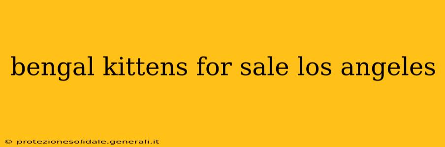 bengal kittens for sale los angeles