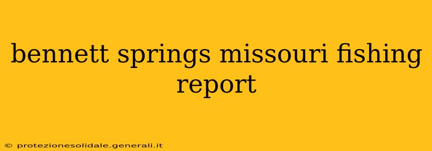 bennett springs missouri fishing report