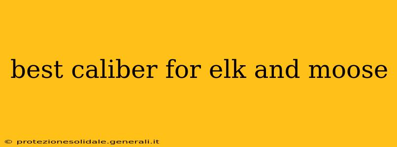 best caliber for elk and moose