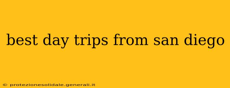 best day trips from san diego