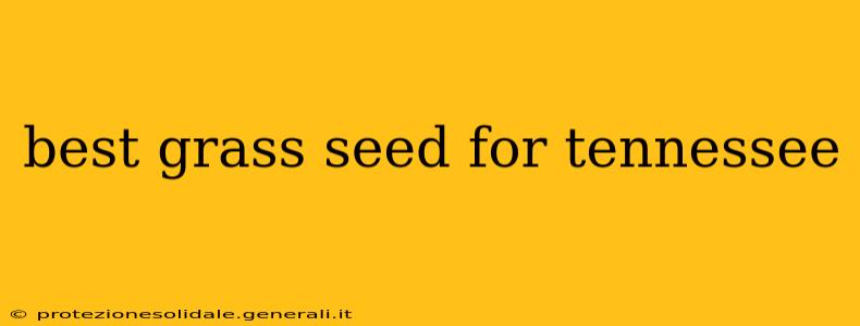 best grass seed for tennessee