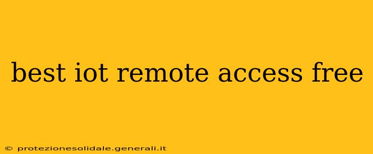 best iot remote access free