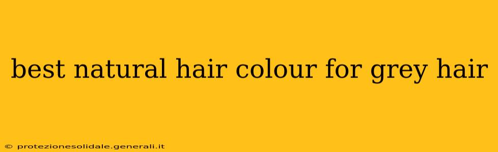 best natural hair colour for grey hair