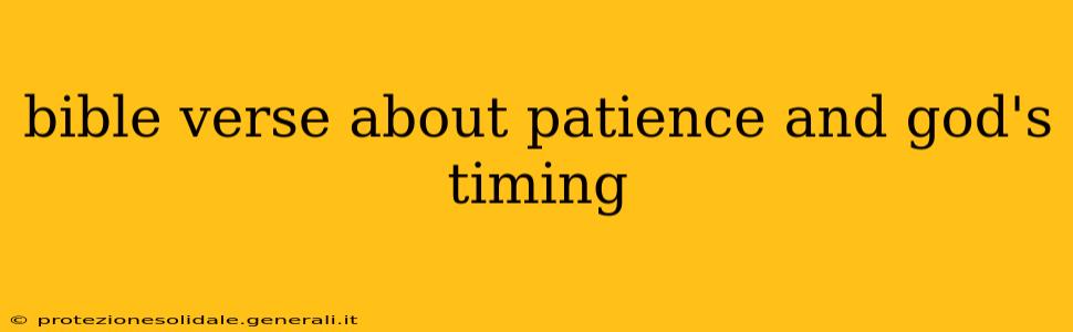 bible verse about patience and god's timing