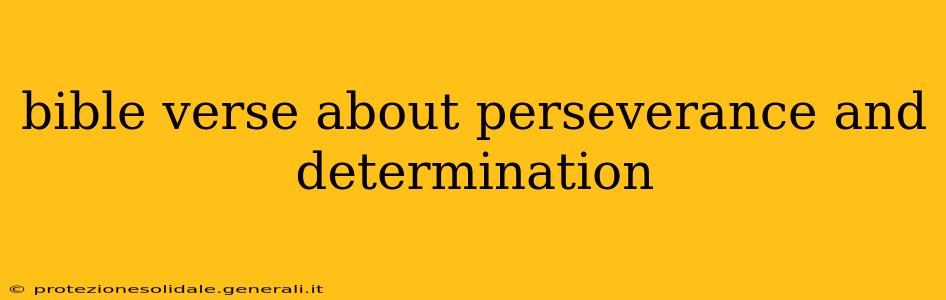 bible verse about perseverance and determination