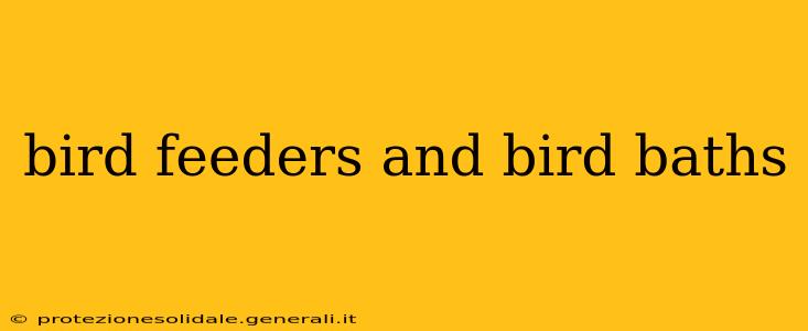 bird feeders and bird baths