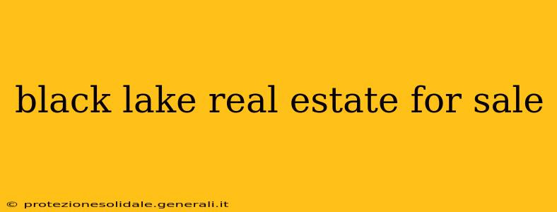 black lake real estate for sale