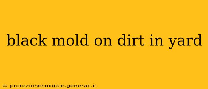 black mold on dirt in yard