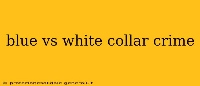blue vs white collar crime