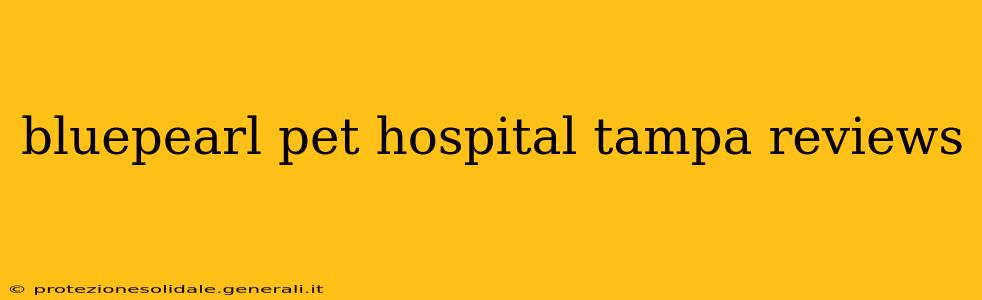 bluepearl pet hospital tampa reviews