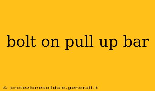 bolt on pull up bar