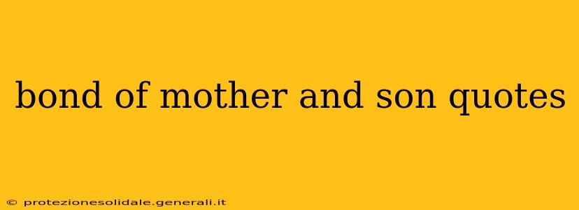 bond of mother and son quotes