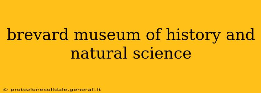 brevard museum of history and natural science