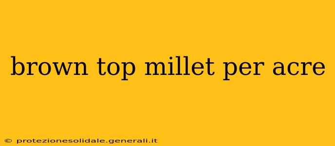 brown top millet per acre