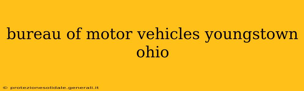 bureau of motor vehicles youngstown ohio